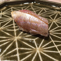 鮨 若尊 - 春子鯛