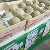 静岡　クラウンメロン