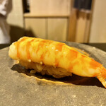 鮓 きずな - 天草 天然車海老