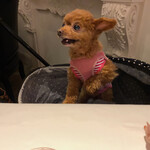 レストラン アルティザン（restaurant Artisan） - くるみ