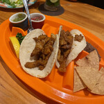 墨西哥酒場Tacodoll