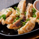 Homemade teppanyaki Gyoza / Dumpling