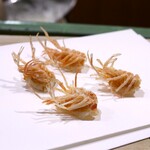 お座敷 天婦良 あやめ - 