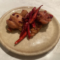 CINA New Modern Chinese - 