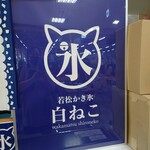 若松かき氷 白ねこ - 