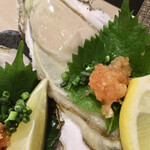 びっくり！魚店 ぼんくら - セルガキ&岩ガキ食べ比べ(仙凰趾生セルガキ)