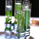 アピシウス - 最後は久しぶりにハーブティーで。