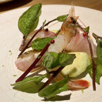 オステリア イル ガルボ - 