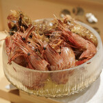 寿司栄 - 手前がシマエビ、奥がシシエビ。