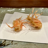 天冨良 よこ田 - 