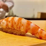 鮨 はしもと - 2022.8.  車海老