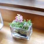 酒々井ハーブの丘ガーデンハウス - どのテーブルにも、ハーブの花が活けてあります