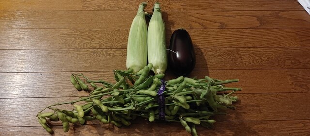 工場みたいな直売所