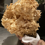 イル アオヤマ - 