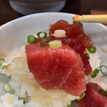 ヌードル＆スパイスカレー 今日の1番 - 