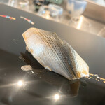 スシコーヒー - コハダ