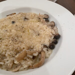 クアドリフォーリオ - 