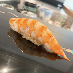 スシコーヒー - 車海老