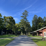 プリムローズ - 