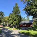 プリムローズ - 