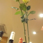 小石川 かとう - この日のお花