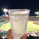 阪神甲子園球場 - 最高のレモンチューハイ♡