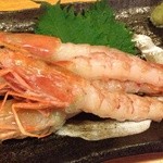 Izumi Biyori - 赤海老の刺身
