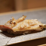 寿司栄 - ホッキガイ