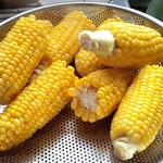 水口農園 - みずみずしいな