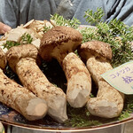たでの葉 - 秋田産コメツガ松茸
      立派な松茸！
      コメツガはマツ科の常緑針葉樹、その林に育った松茸をコメツガ松茸と呼ぶそうです。
      これとは別の大ざるに松茸ご飯用の松茸が山盛り用意してあります♪