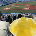 ルウジャパン 神宮球場店 - 