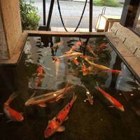 浅草むぎとろ 本店 - 