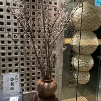 日本料理 花むさし - 