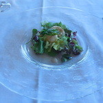 横浜モノリス - Hors-d’oeuvre
      ラングスティーヌのポワレ　春香る地野菜と香り高いバジルを添えて