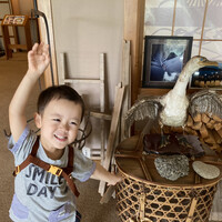 すぎ山 - 