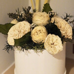 ペレグリーノ - 