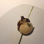 レフェルヴェソンス - 