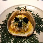 レフェルヴェソンス - 