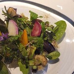 レフェルヴェソンス - 