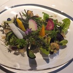 レフェルヴェソンス - 