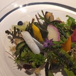 レフェルヴェソンス - 