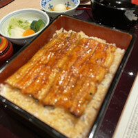 野田岩 日本橋高島屋特別食堂 - 梅