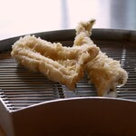 Tempura Yama No Ue Roppongi - 