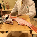 和の食 樹翠 - 岩船で水揚げされた1.7キロのノドグロ