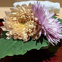 銀座 しのはら - 菊をあしらった
