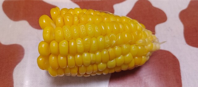 工場みたいな直売所 - 西帯広（その他）の写真