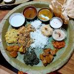 南インド料理 レジナ - 料理写真:ベジオンリーミールスだよ