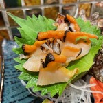 寿司と山形蕎麦 海風季 - さざえ刺し　こりっこりで美味しい！
