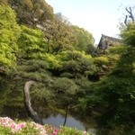 鉄板焼 あみじま - 