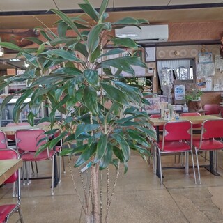 中華料理 しまむら_2